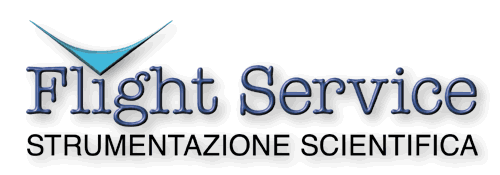 logo Flight Service